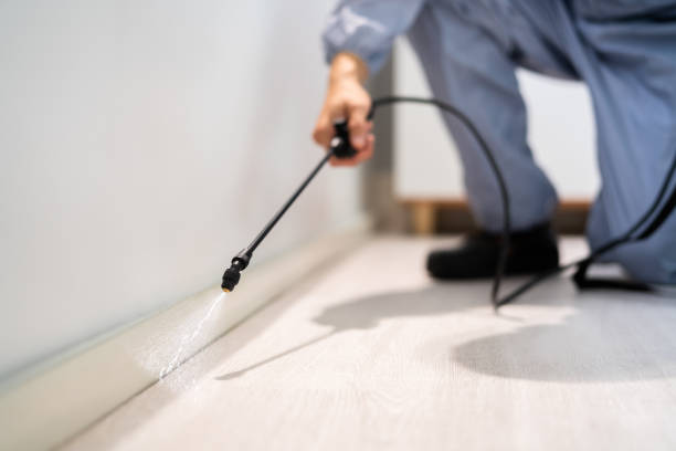 Licensed Termite Control service in Lake County County, IN - Nex Pest Control