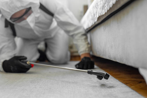 Professional Termite Control technician working in Lake County County, IN